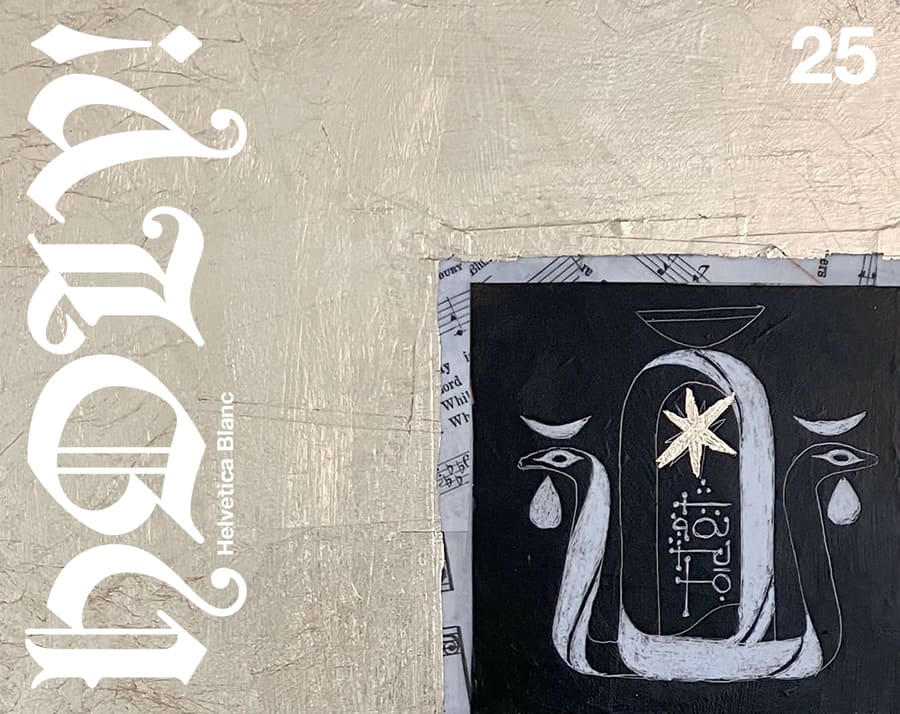 Cover of HOLY! 25
